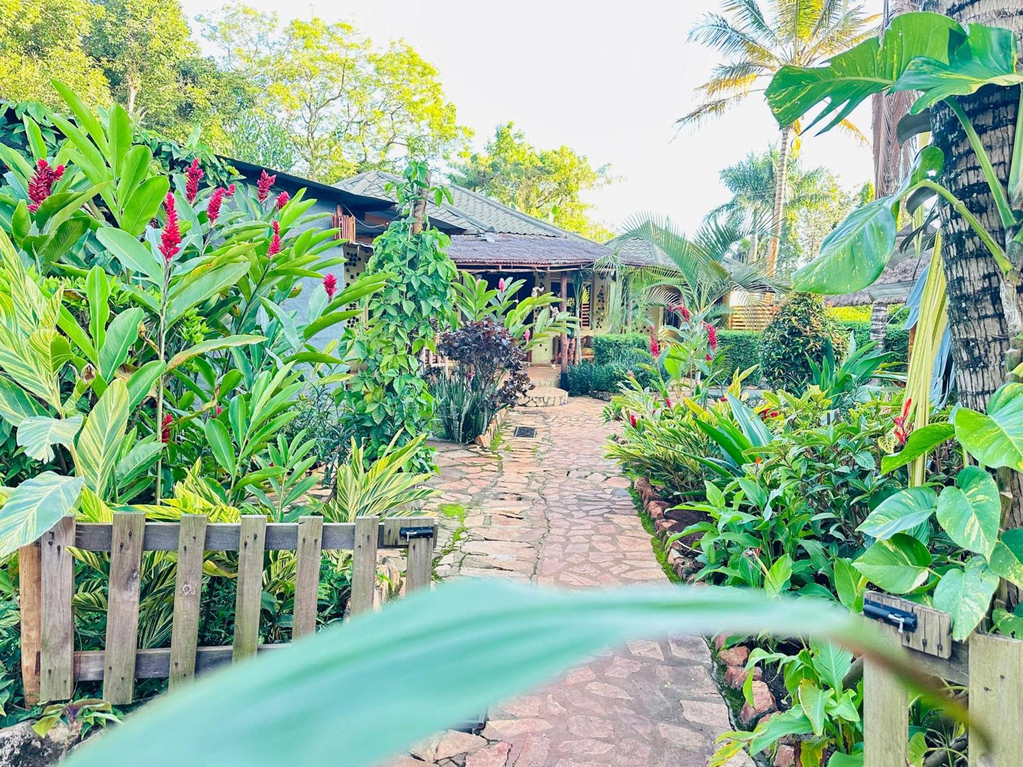 Afro Smile Hotel & Guest House Jinja Eksteriør bilde
